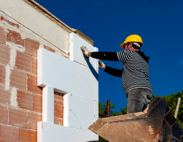 Best Geographic-Specific Insulation Services in Winnie, TX
