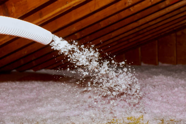 Professional Insulation Contractor in Winnie, TX